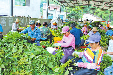 9_副本.jpg 9_副本.jpg