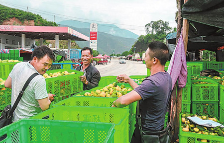 6_副本.jpg 6_副本.jpg