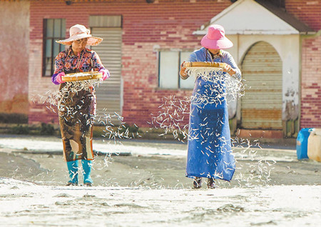 27_副本.jpg 27_副本.jpg