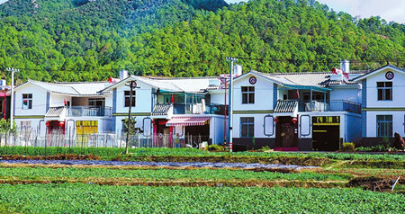 54_副本.jpg 54_副本.jpg