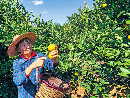 3_副本.jpg 3_副本.jpg