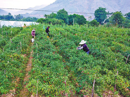 8_副本.jpg 8_副本.jpg