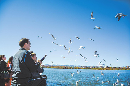 6_副本.jpg 6_副本.jpg