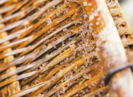 8_副本.jpg 8_副本.jpg