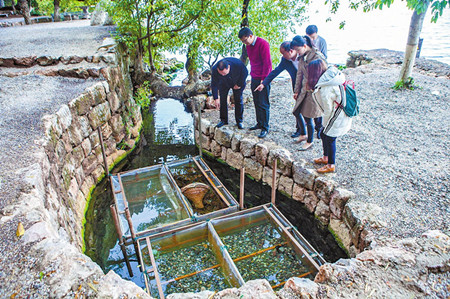 7_副本.jpg 7_副本.jpg