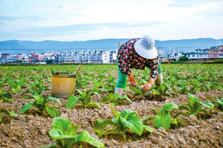 2_副本.jpg 2_副本.jpg