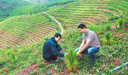 29_副本.jpg 29_副本.jpg