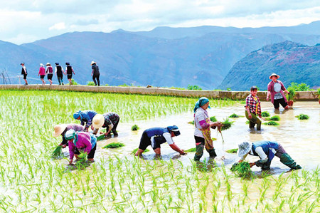 5_副本.jpg 5_副本.jpg