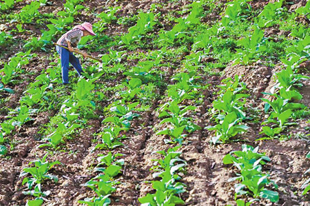 5_副本.jpg 5_副本.jpg