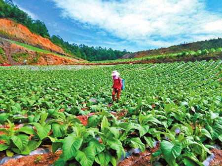 8_副本.jpg 8_副本.jpg