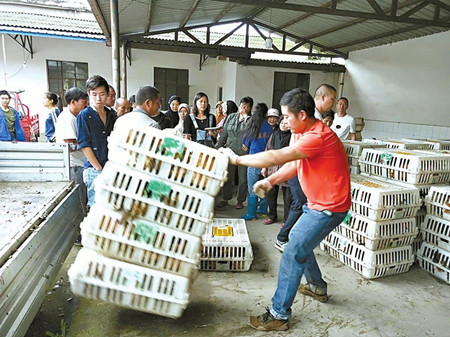 5_副本.jpg 5_副本.jpg