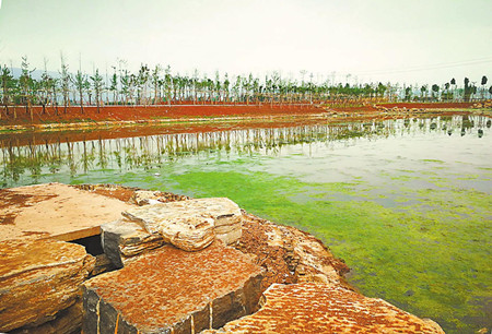 6_副本.jpg 6_副本.jpg