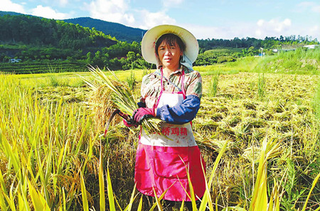 43_副本.jpg 43_副本.jpg