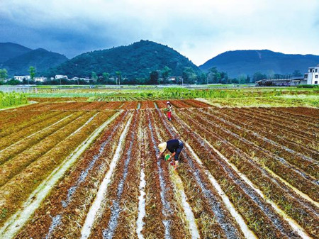 7_副本.jpg 7_副本.jpg