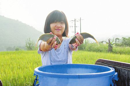 1_副本.jpg 1_副本.jpg