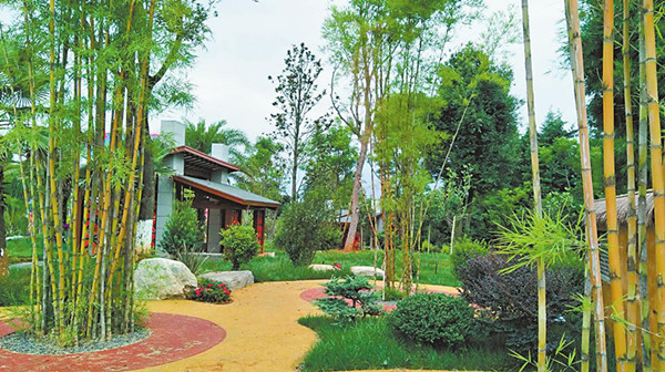 0_副本.jpg 0_副本.jpg