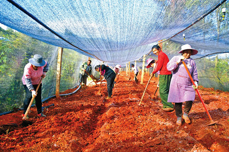 8_副本.jpg 8_副本.jpg