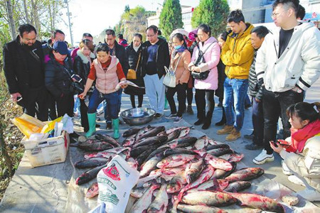 7_副本.jpg 7_副本.jpg