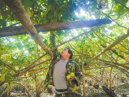 3_副本.jpg 3_副本.jpg