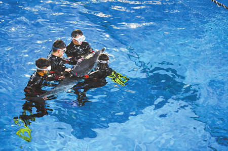 7_副本.jpg 7_副本.jpg