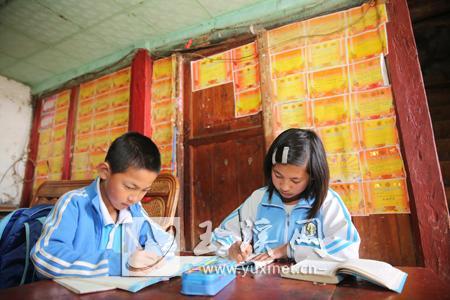 杨媛媛和弟弟在做寒假作业，背后墙上贴的都是杨媛媛获得的奖状。