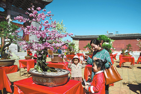 5_副本.jpg 5_副本.jpg