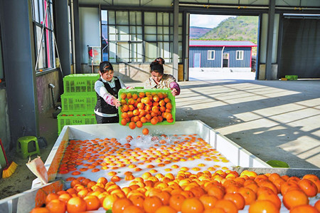 5_副本.jpg 5_副本.jpg