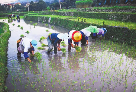 7_副本.jpg 7_副本.jpg