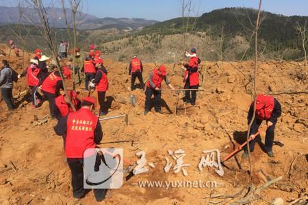 L_1548753799709375721