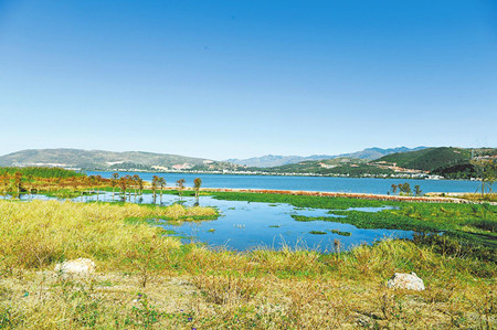 4_副本.jpg 4_副本.jpg