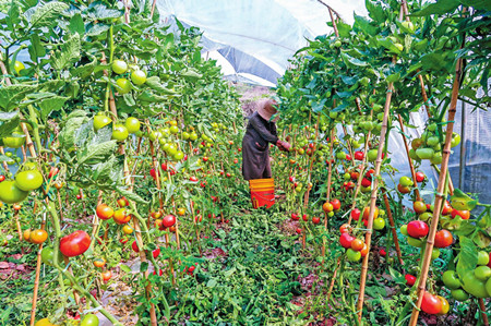 22_副本.jpg 22_副本.jpg