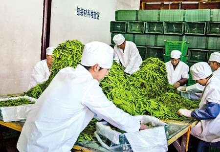 9_副本.jpg 9_副本.jpg