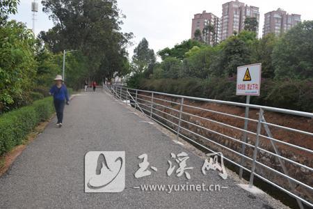 已安装好护栏的金水河岸