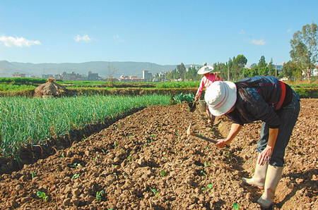 6_副本.jpg 6_副本.jpg