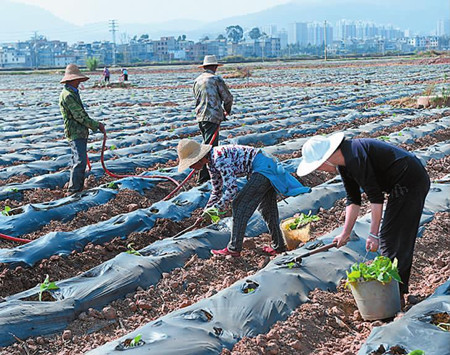 35_副本.jpg 35_副本.jpg