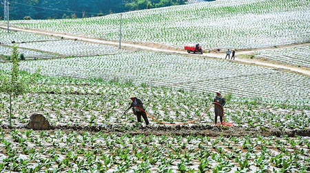 5_副本.jpg 5_副本.jpg