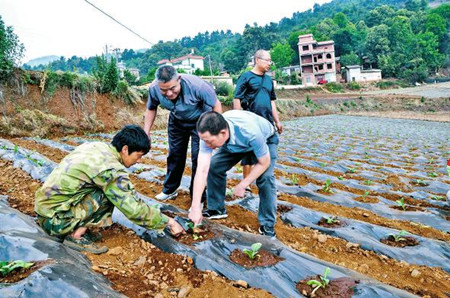 5_副本.jpg 5_副本.jpg