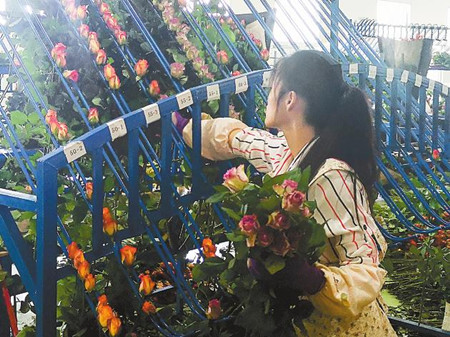 6_副本.jpg 6_副本.jpg