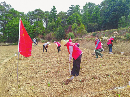 4_副本.jpg 4_副本.jpg