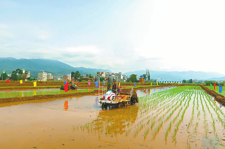 4_副本.jpg 4_副本.jpg