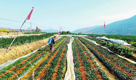 13_副本.jpg 13_副本.jpg