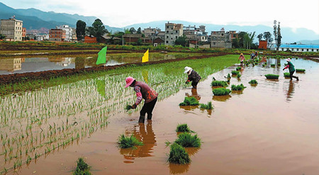 32_副本.jpg 32_副本.jpg