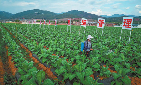 24_副本.jpg 24_副本.jpg