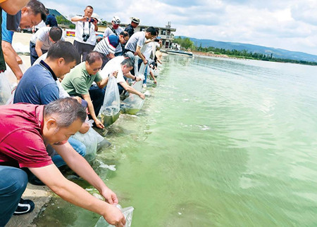 6_副本.jpg 6_副本.jpg