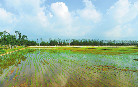 5_副本.jpg 5_副本.jpg