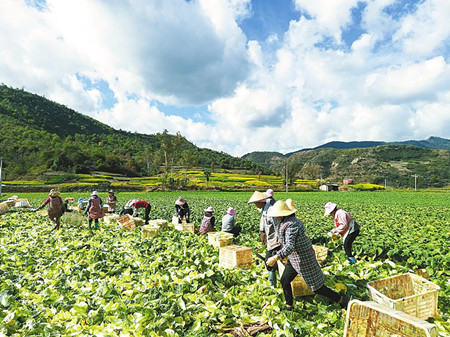 8_副本.jpg 8_副本.jpg