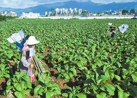 5_副本.jpg 5_副本.jpg