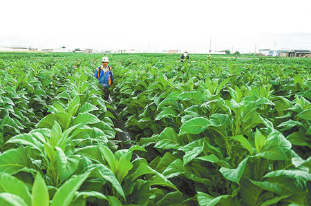 6_副本.jpg 6_副本.jpg