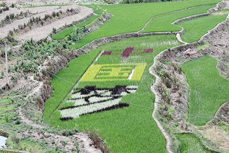 20190701223131781.jpg 20190701223131781.jpg