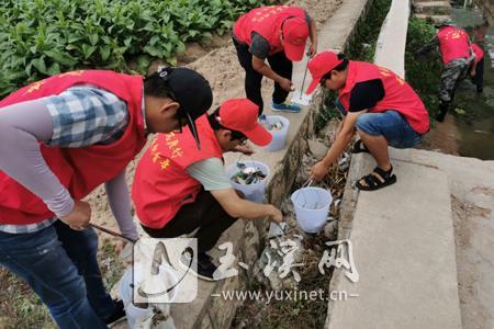 L_1561256250907696768